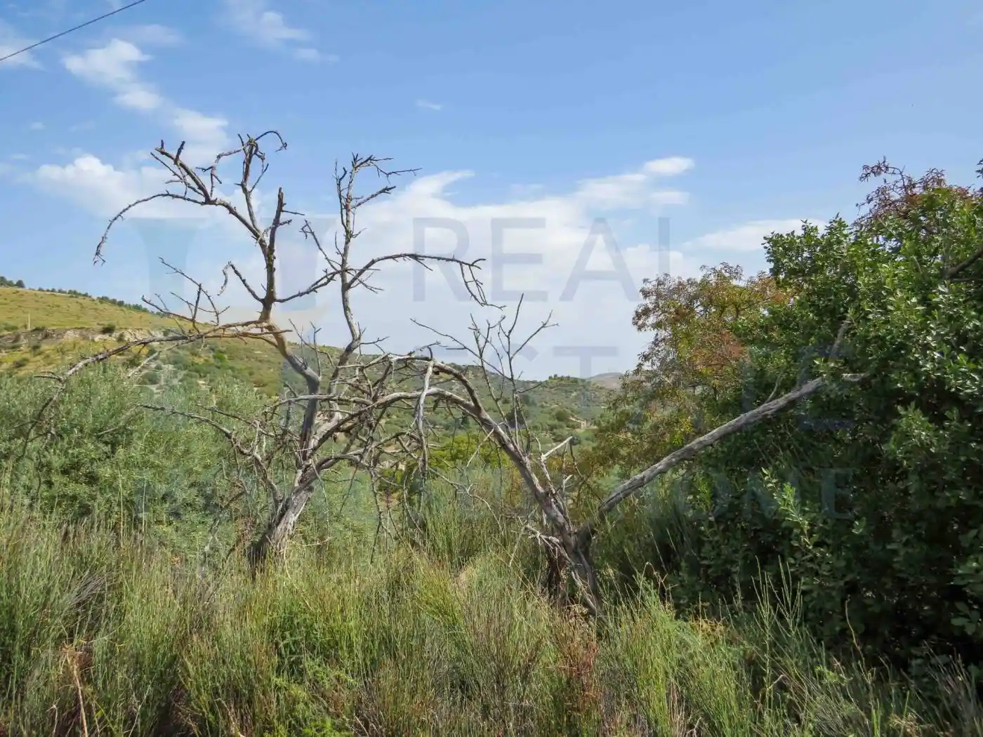 Casale viale Principe Orto, Buccheri - foto 4