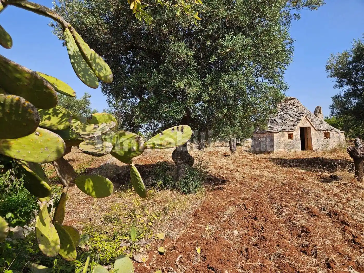 Rustico - Casale in vendita a Polignano a Mare