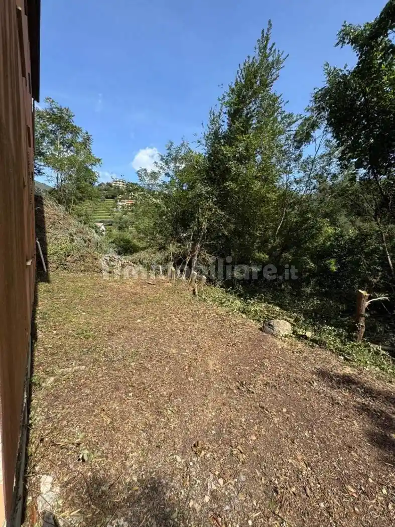 Palazzo - Edificio - foto 3