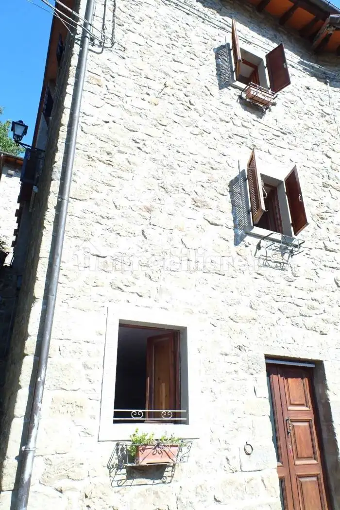 Casa indipendente in vendita a Ortignano Raggiolo