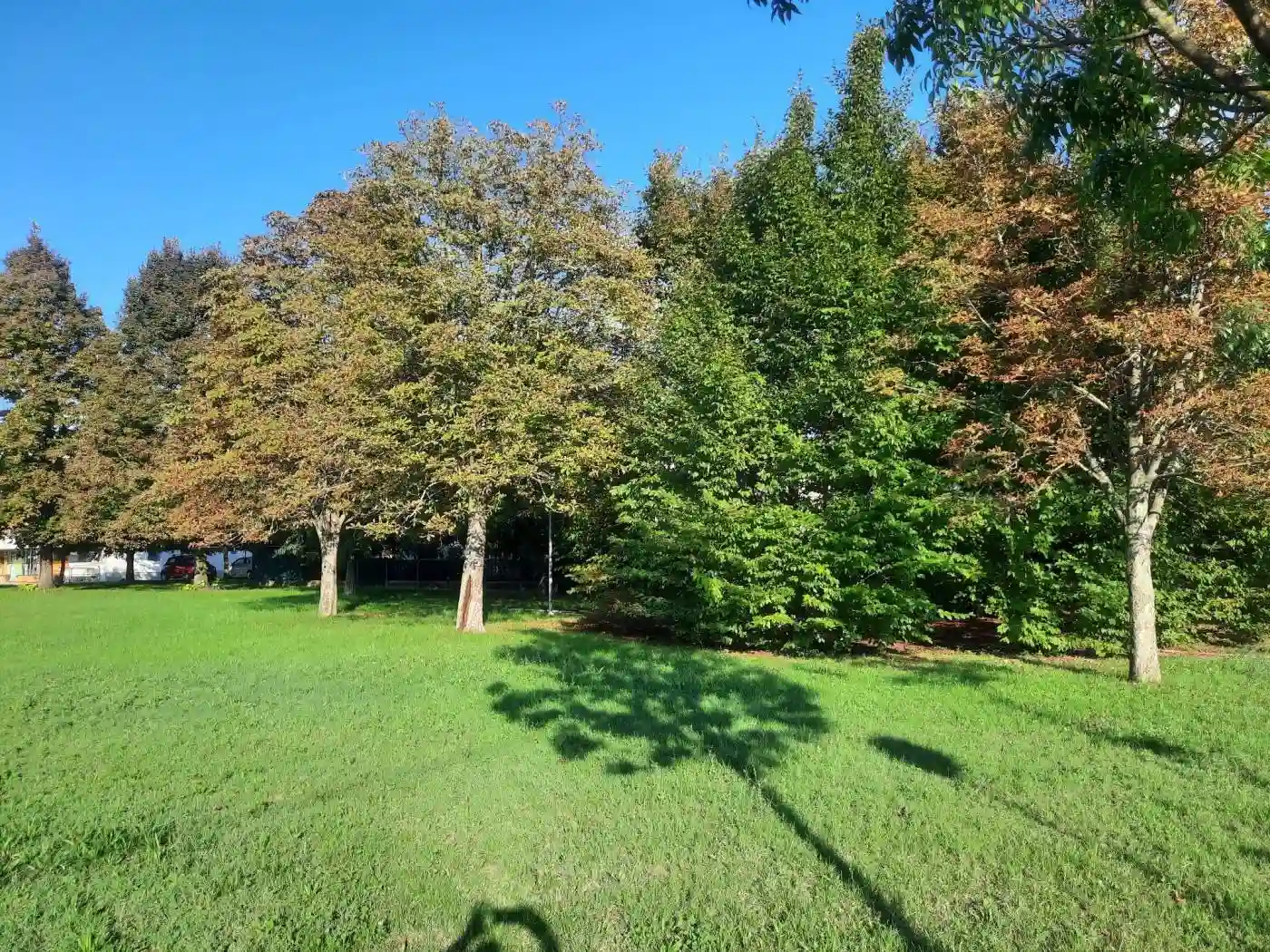 Appartamento in vendita a Massa Lombarda