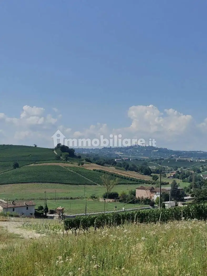 Cascina regione Dani, 28, Dani, Agliano Terme - foto 2