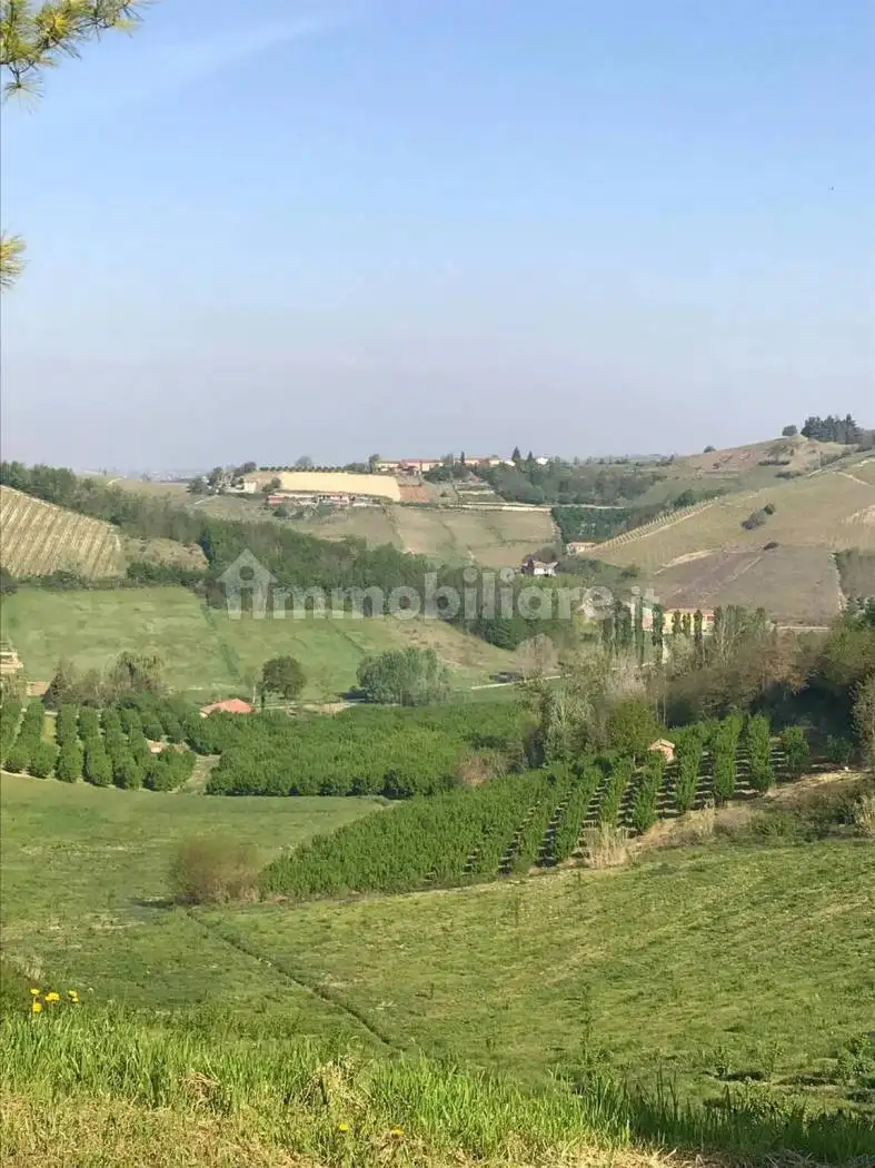 Rustico - Casale in vendita a Castelnuovo Calcea