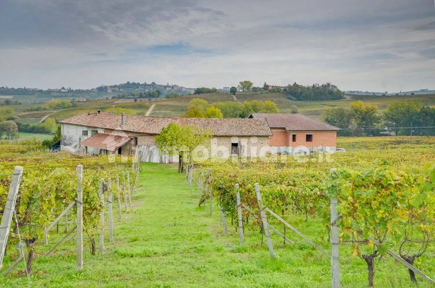 Cascina Reg Vianoce, Agliano Terme - foto 2