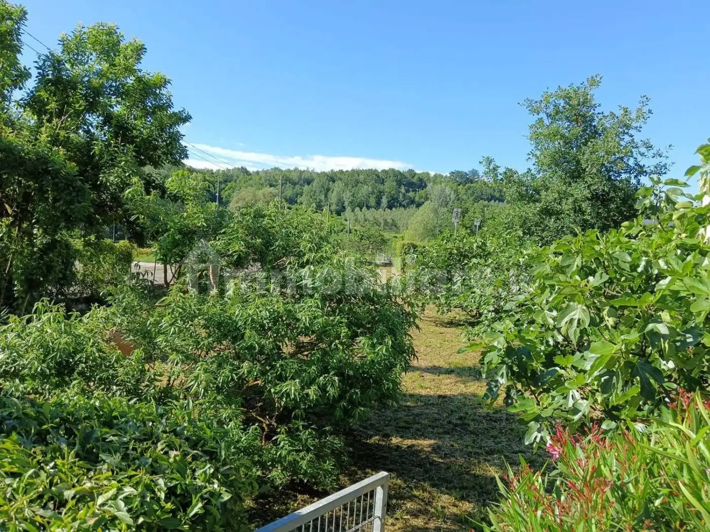 Villa unifamiliare via Garibaldi, 1, Centro, Belveglio - foto 4