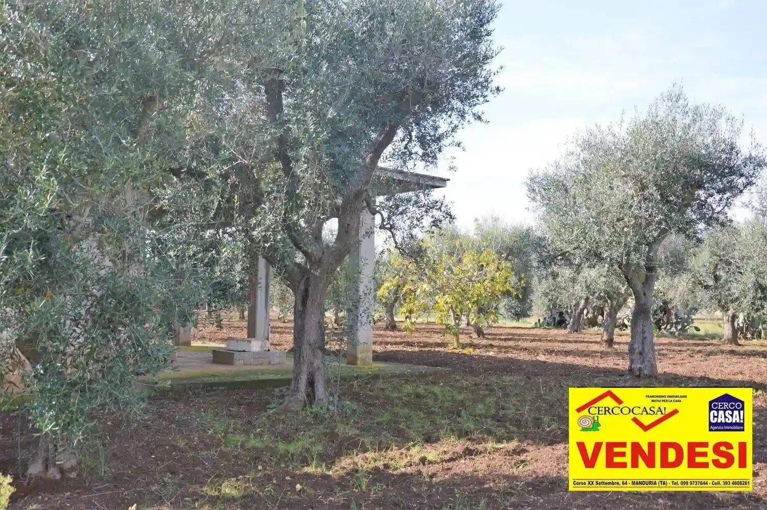 Rustico - Casale - foto 4