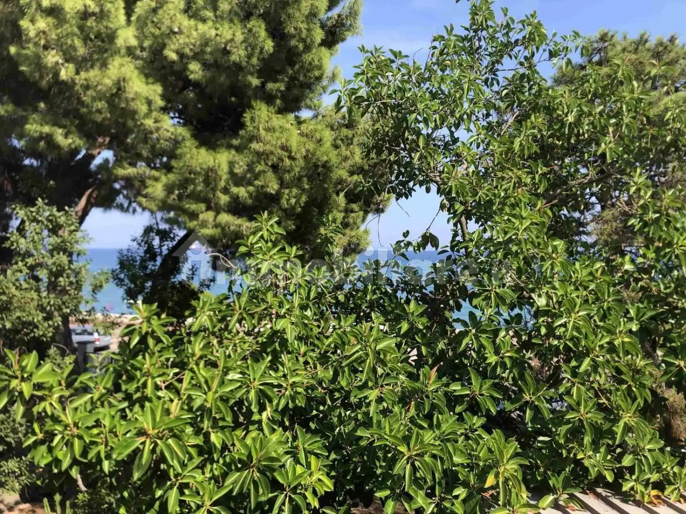 Villa in vendita a Trebisacce