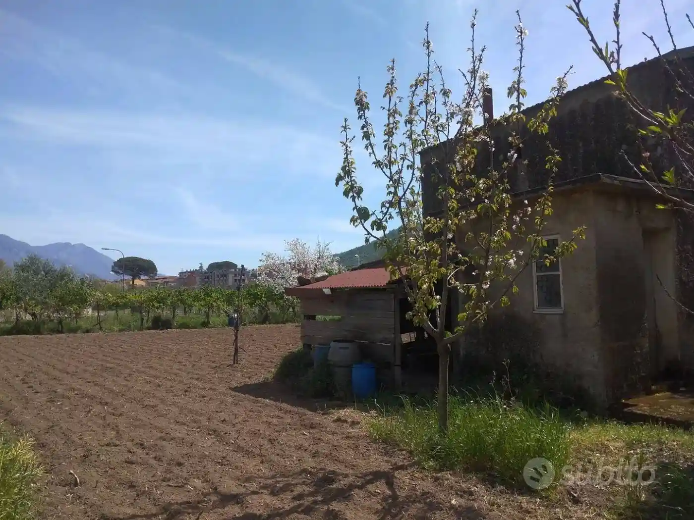 Rustico - Casale - foto 4