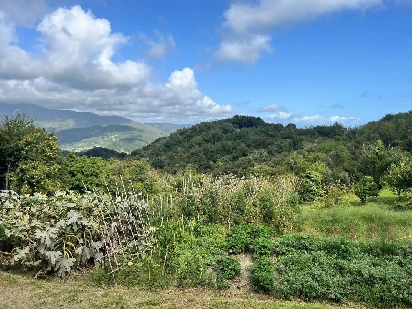 Casale via Campenave, Vesima - Crevari, Genova - foto 2