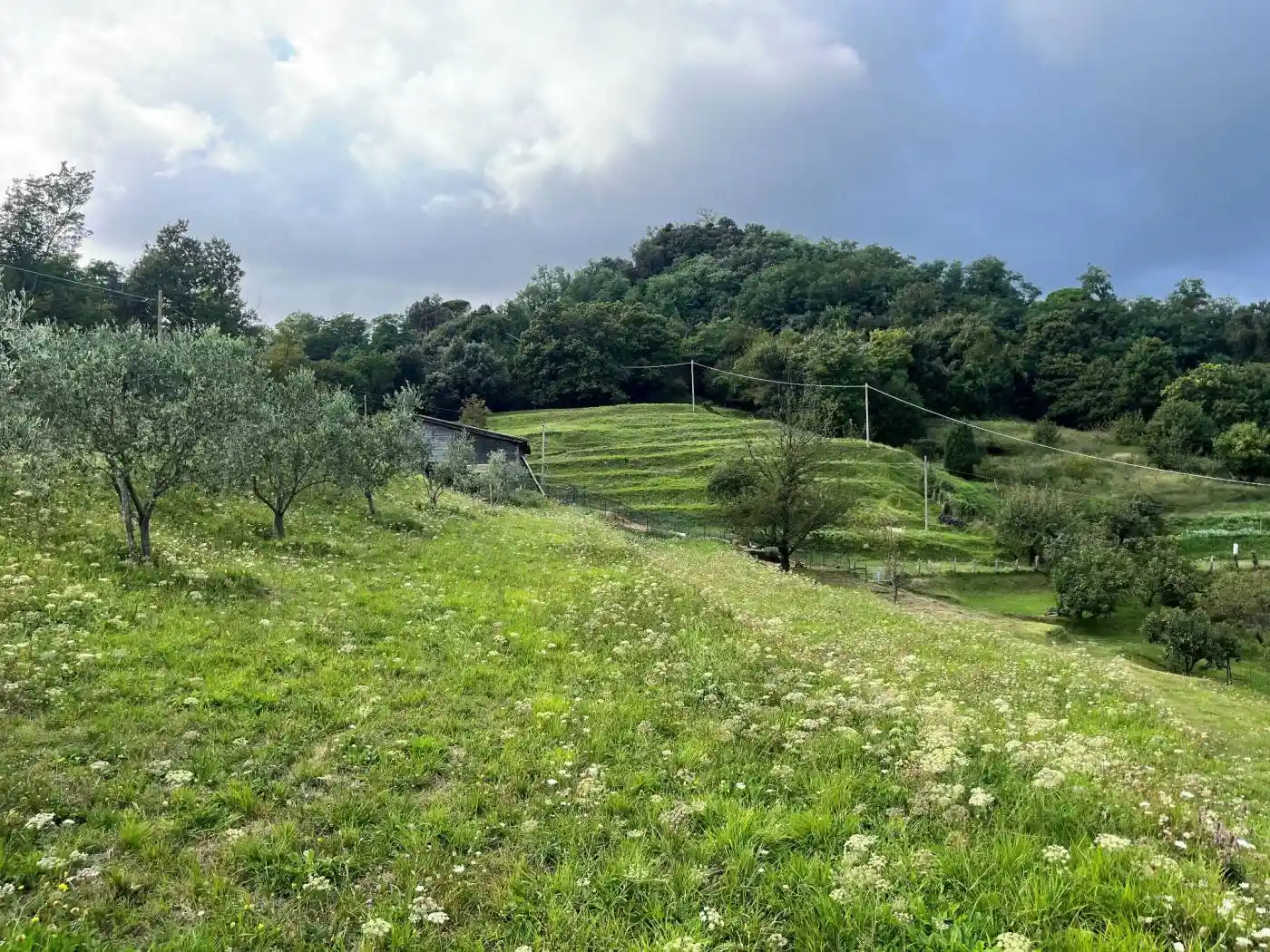 Casale via Campenave, Vesima - Crevari, Genova - foto 3