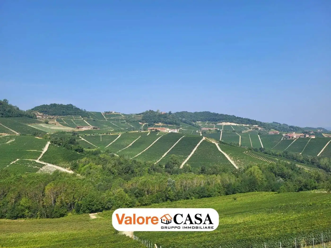 Rustico - Casale in vendita a Monforte d'Alba