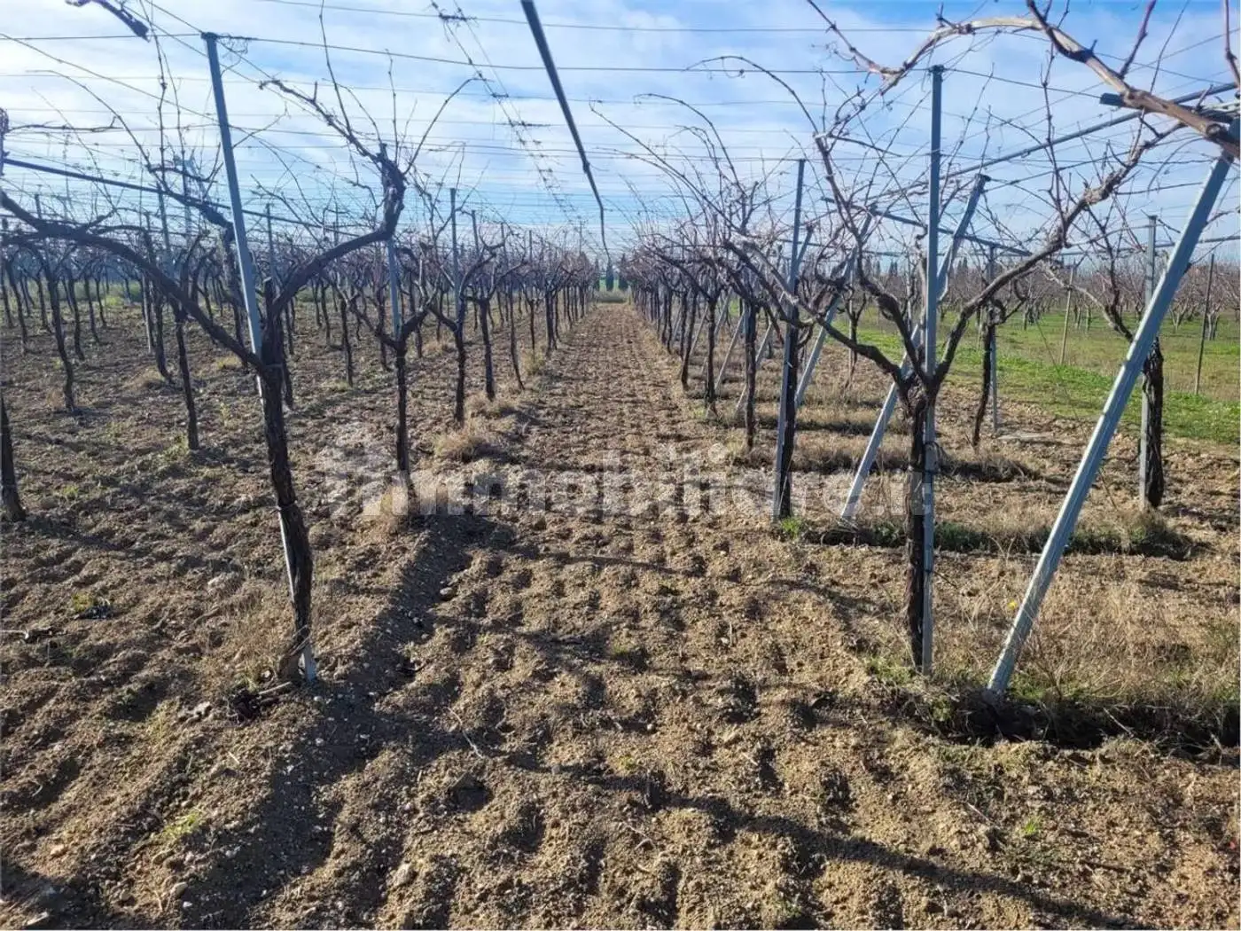 Rustico - Casale in vendita a Stornara