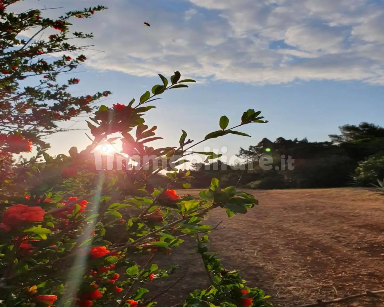 Villa in vendita a Isola del Giglio