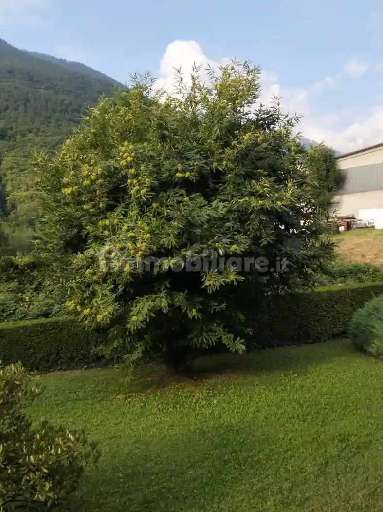 Trilocale piazza Sandro Pertini 3, Centro, Bobbio Pellice - foto 5