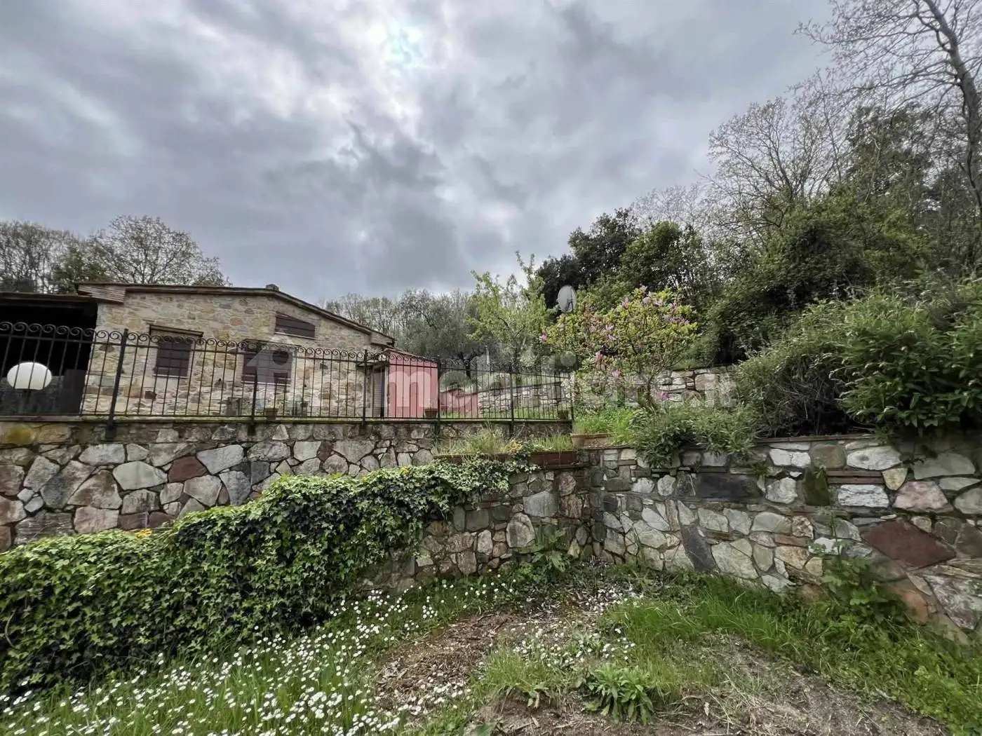 Rustico - Casale in vendita a Sassetta