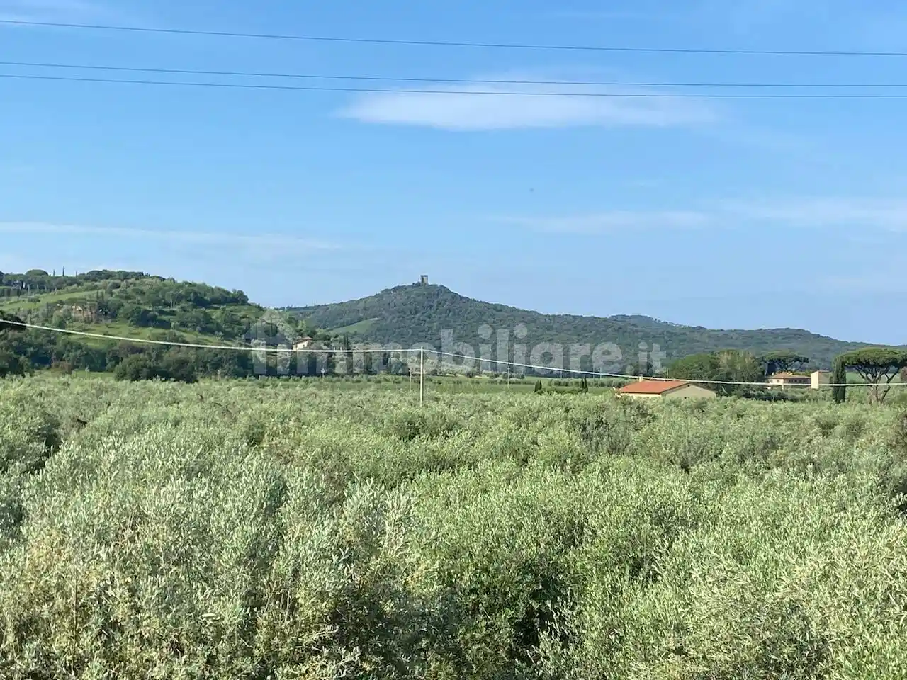 Rustico - Casale in vendita a Castagneto Carducci