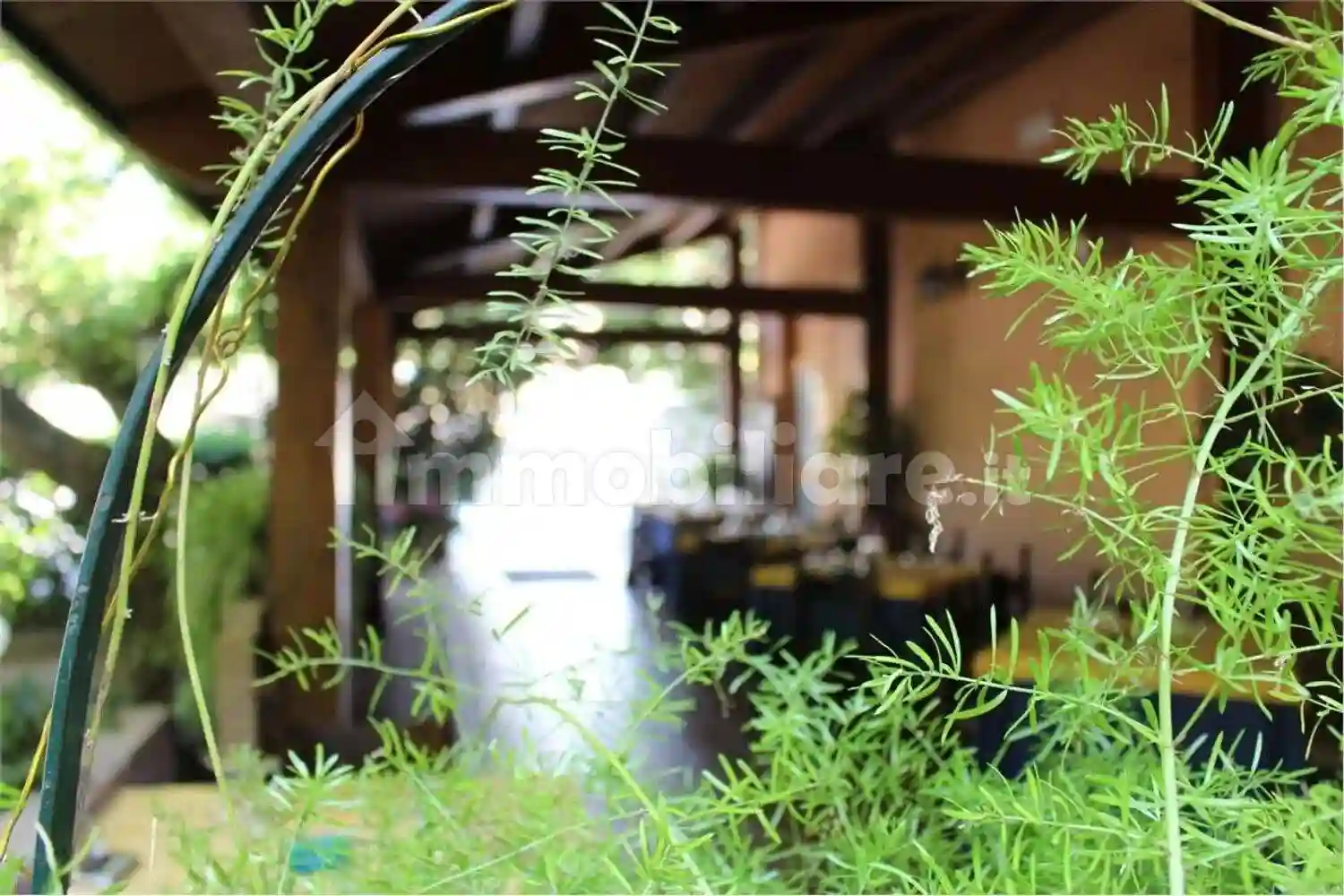 Palazzo - Edificio - foto 5