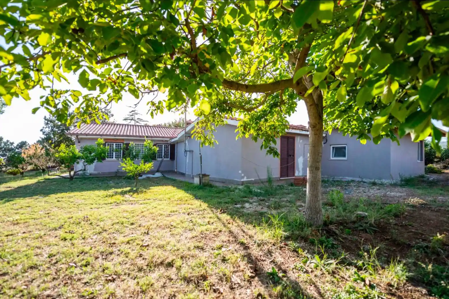 Villa in vendita a Cerveteri