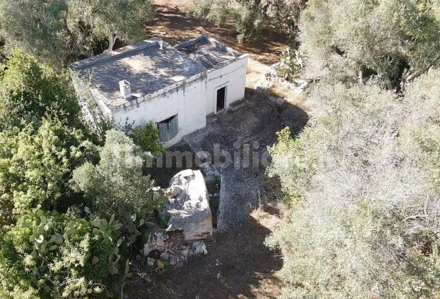 Rustico - Casale in vendita a Ceglie Messapica