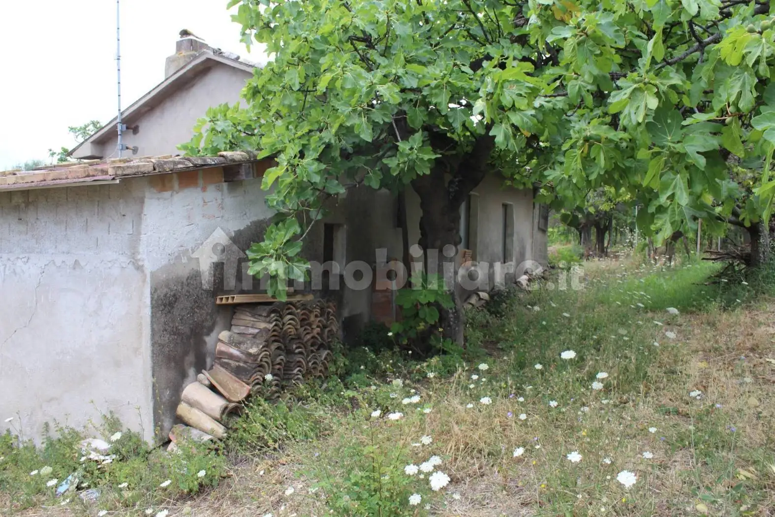 Rustico - Casale in vendita a Pollutri