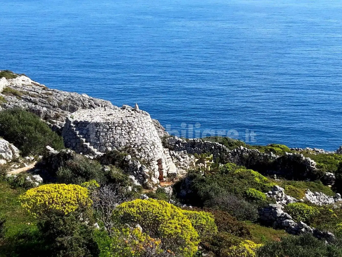 Rustico - Casale in vendita a Gagliano del Capo