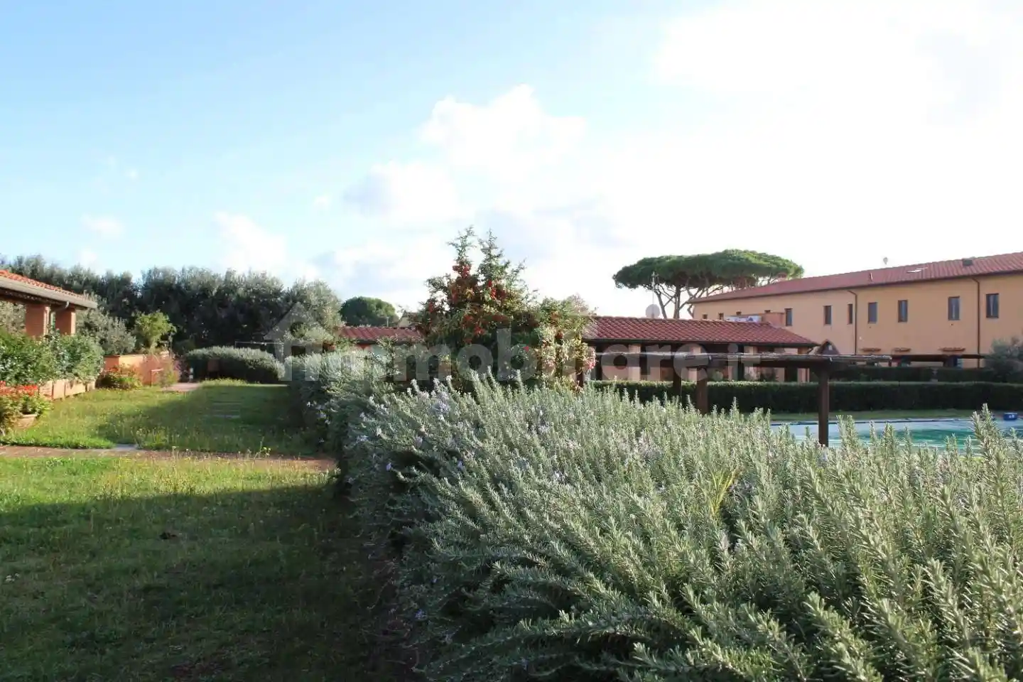 Appartamento in vendita a San Vincenzo