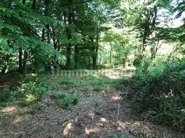 Rustico - Casale in vendita a Tavernerio