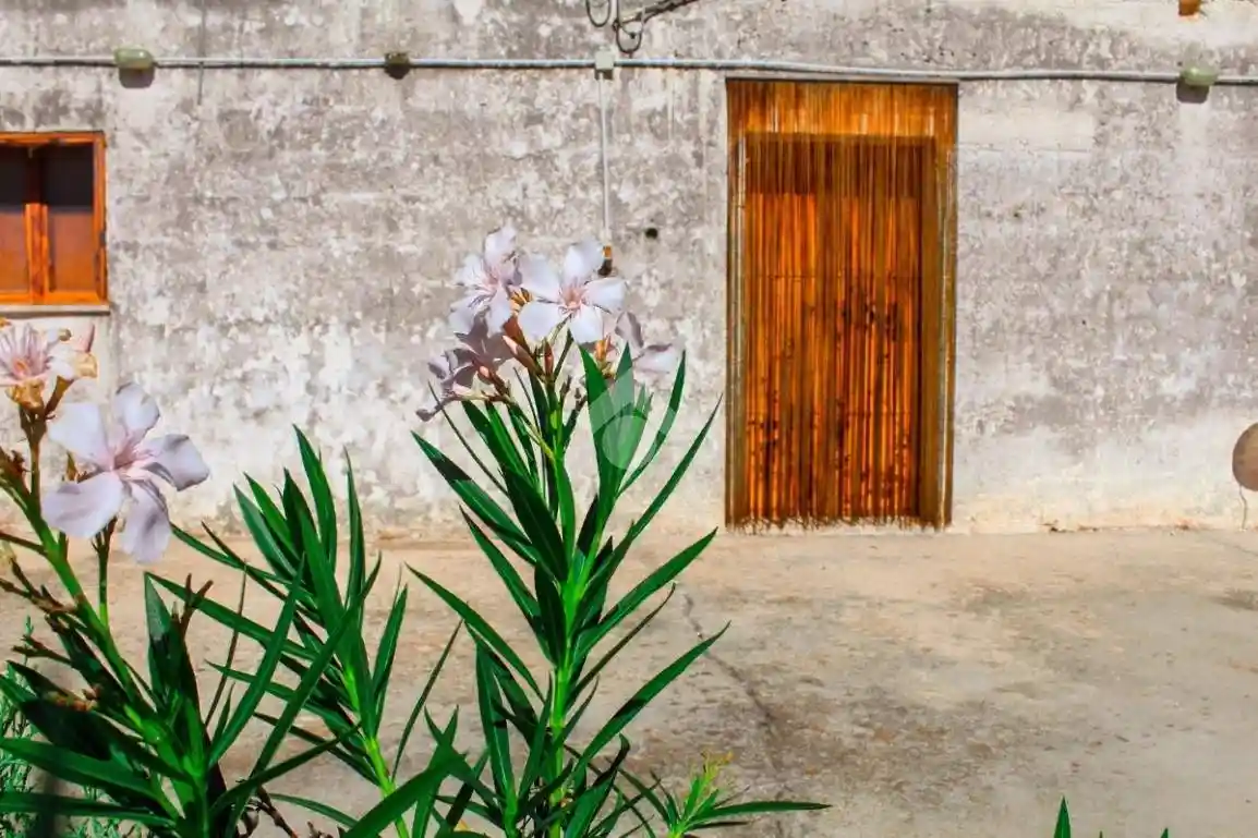 Rustico - Casale in vendita a Carovigno