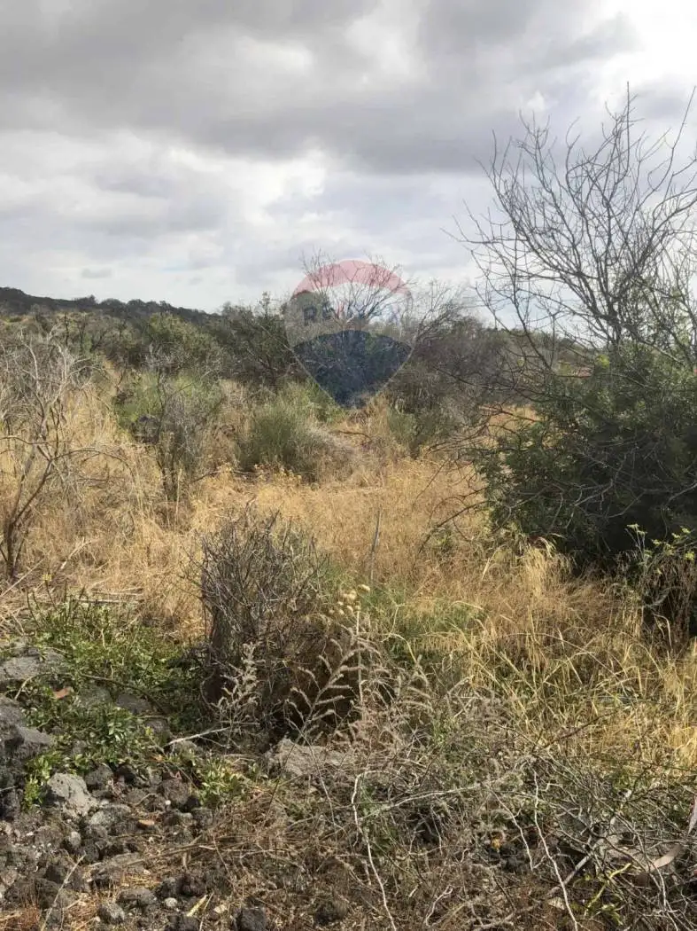 Rustico contrada carcarazza sn, Camporotondo Etneo - foto 3