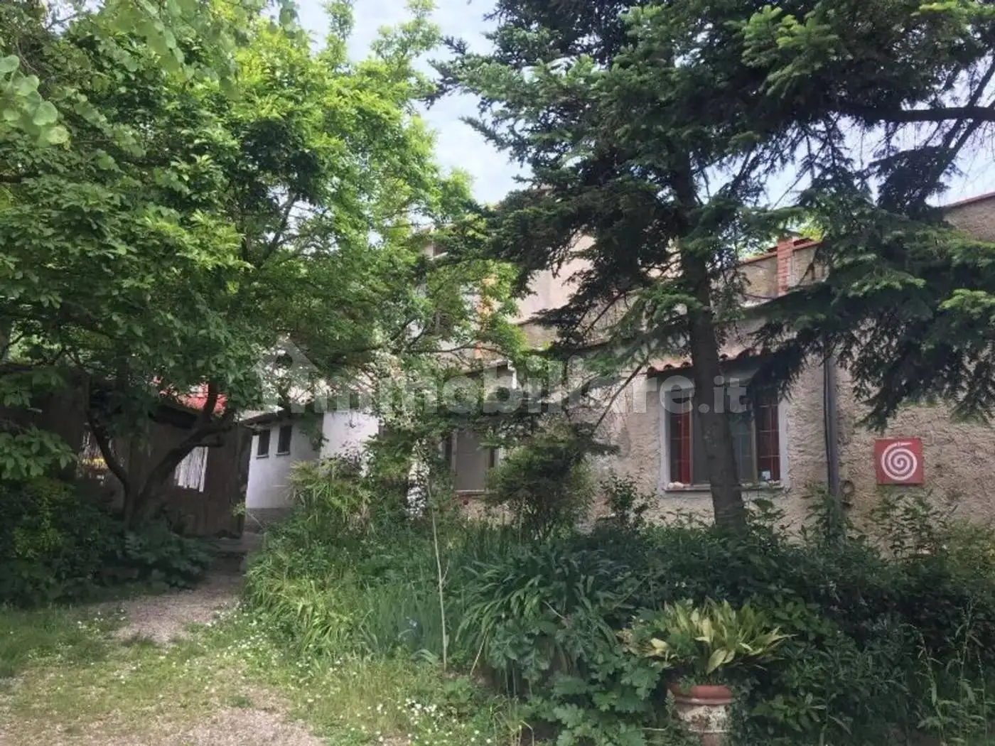 Rustico - Casale in vendita a Sassetta