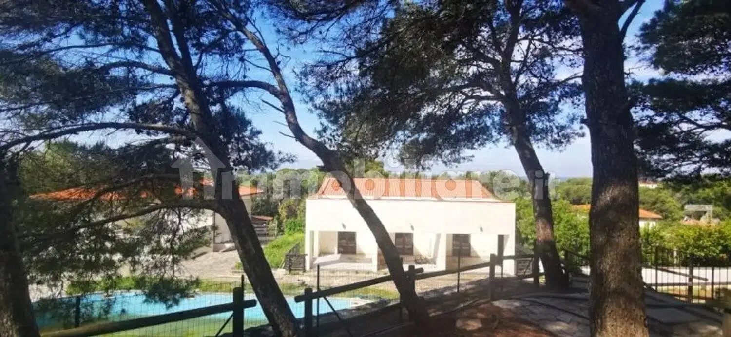 Appartamento in vendita a Rosignano Marittimo