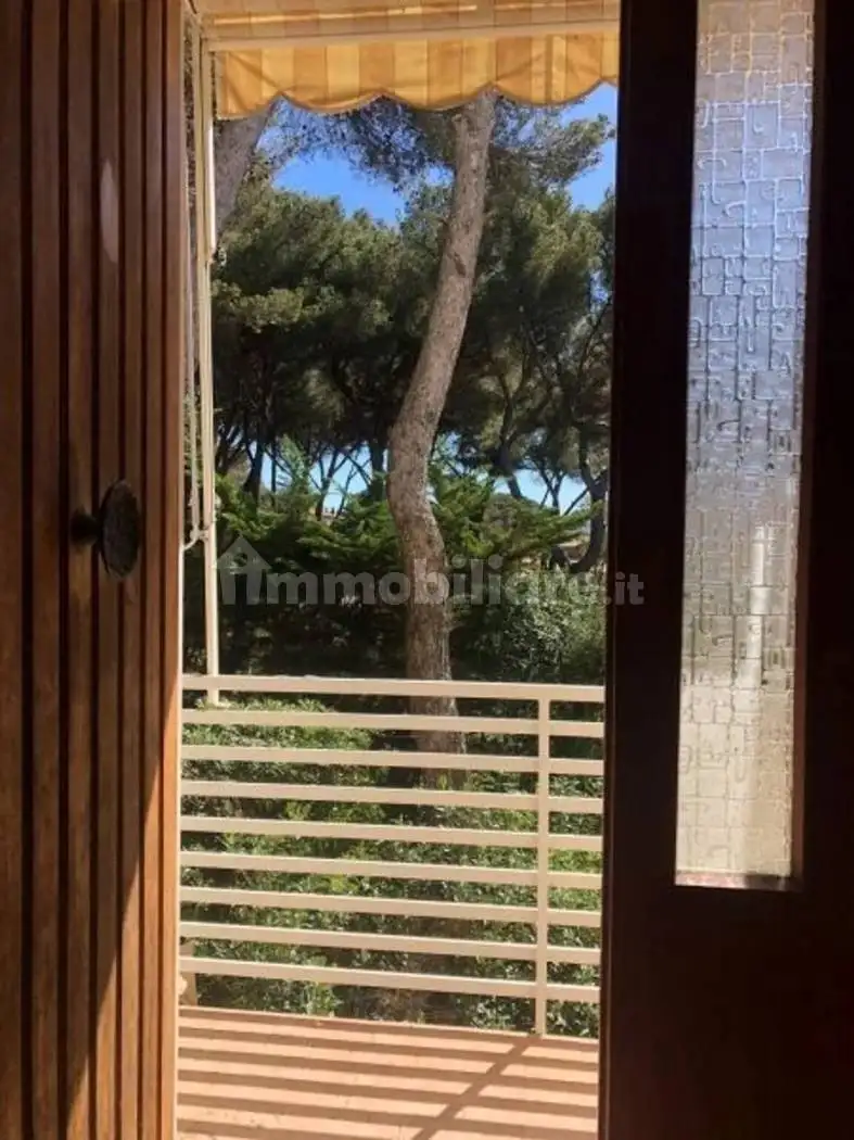 Quadrilocale via Isonzo No Number, Castiglioncello, Rosignano Marittimo - foto 2