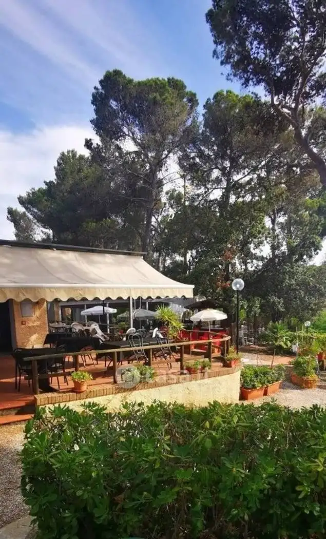 Appartamento in affitto a Rosignano Marittimo