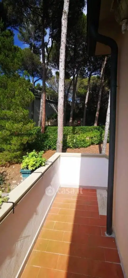 Bilocale Neighbourhood: Stazione-Lillatro, Rosignano Solvay, Rosignano Marittimo - foto 4