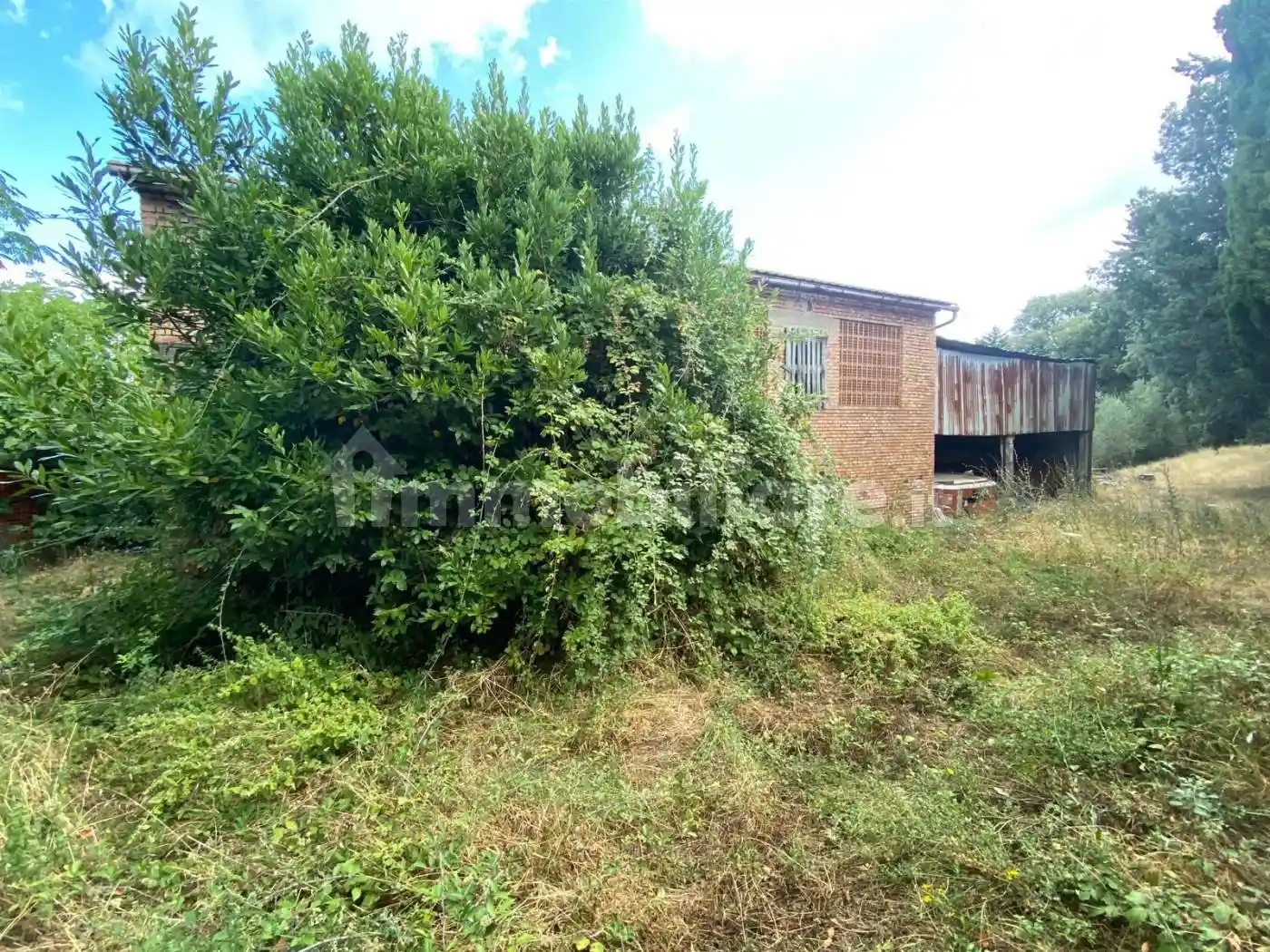 Rustico - Casale in vendita a Montespertoli