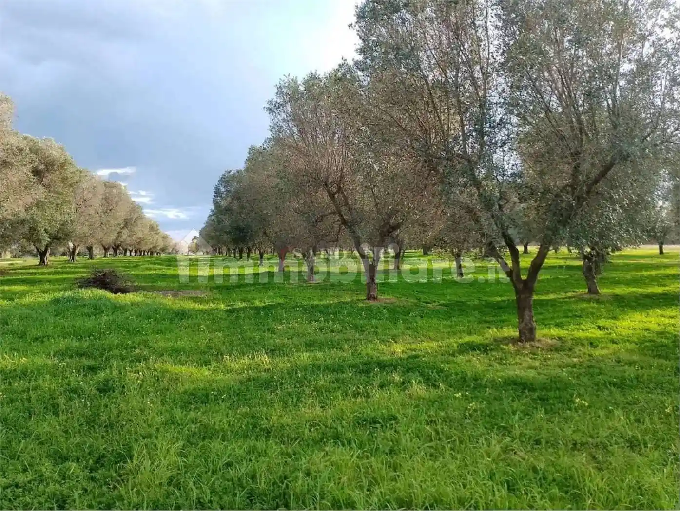 Cascina via Apani No Number, Montenegro, Brindisi - foto 2