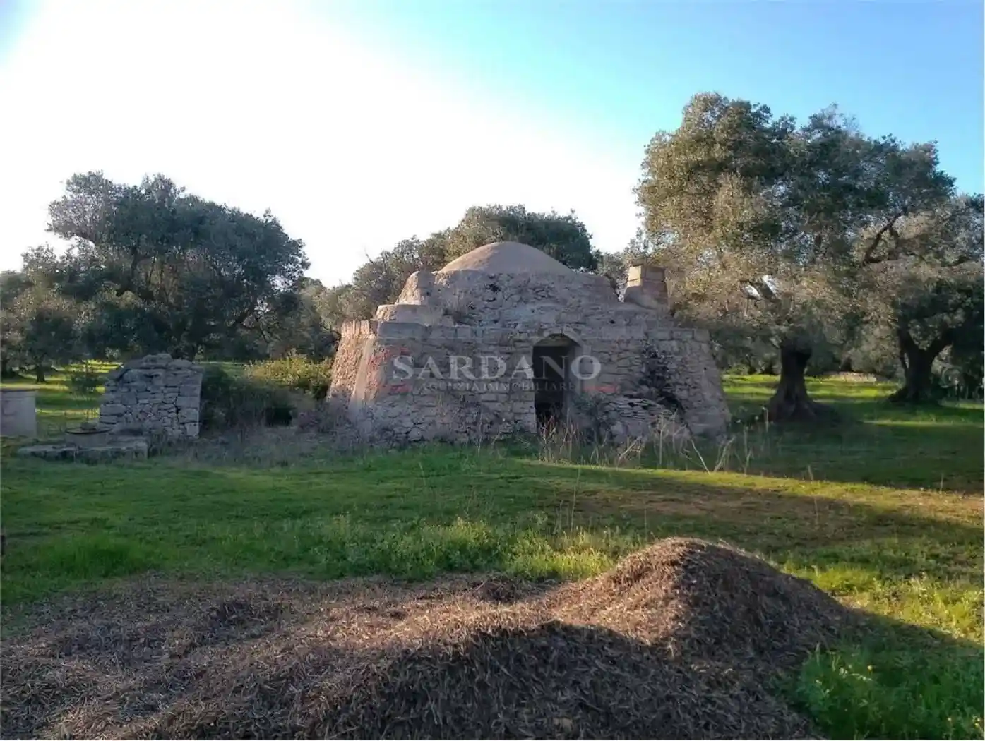Rustico - Casale in vendita a San Vito dei Normanni