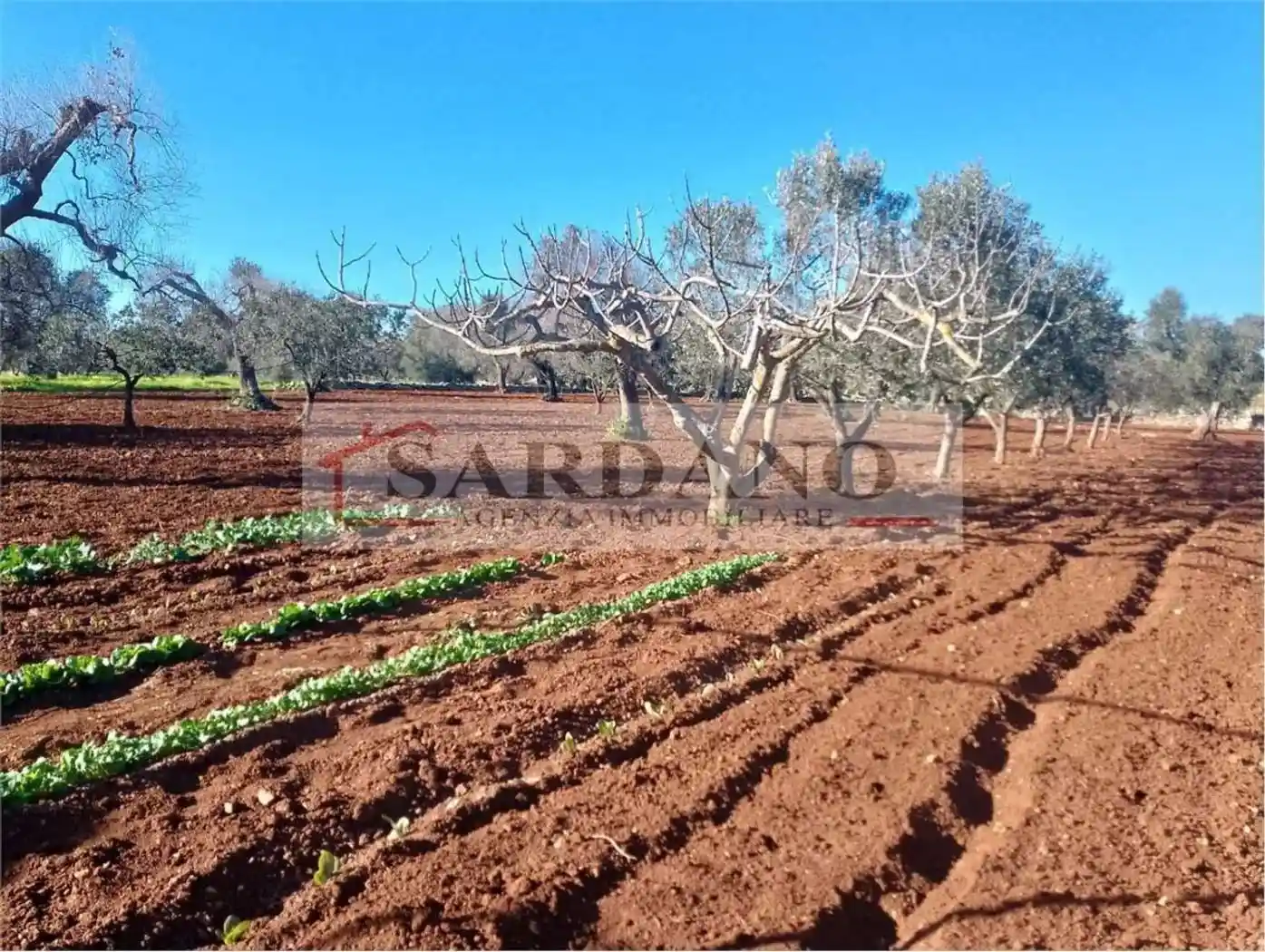 Cascina Strada Comunale 41, Montenegro, Brindisi - foto 5