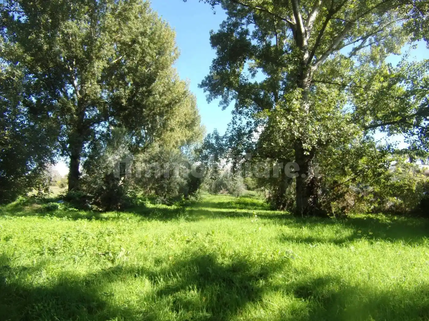 Casa indipendente in vendita a Ariccia