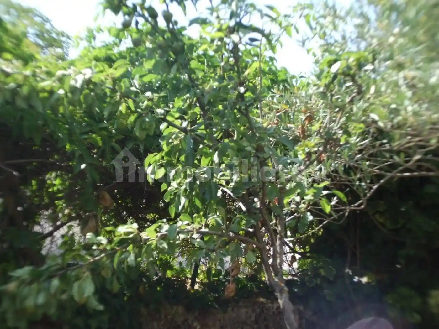 Villa a schiera via Madonna Delle Grazie No Number, Camerata Nuova - foto 5