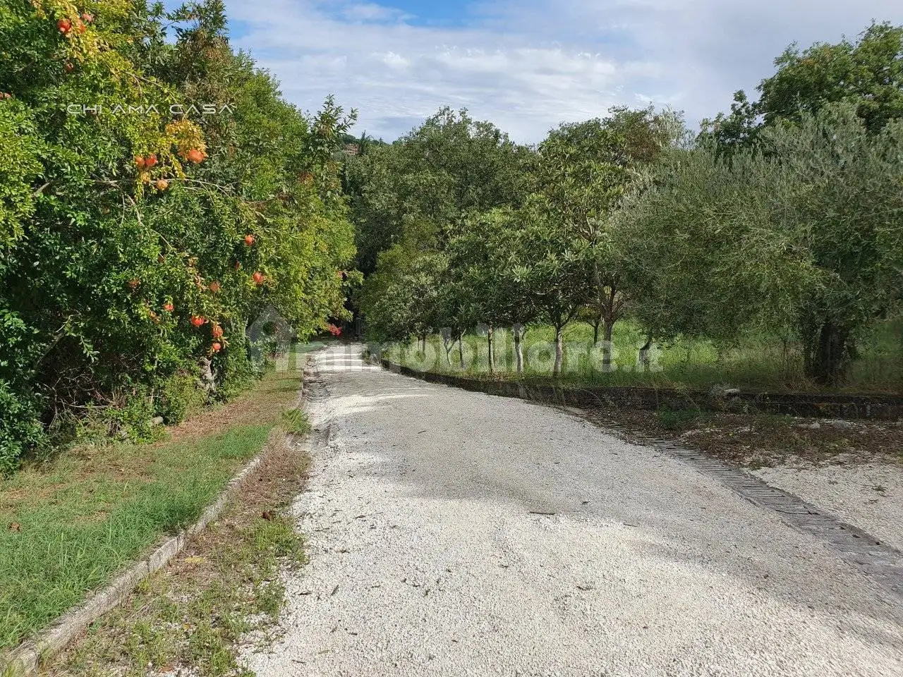 Casa indipendente in vendita a Fano