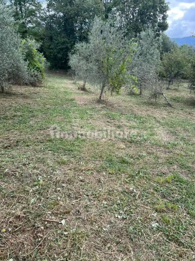 Villa unifamiliare via Nezzana, Bagnone - foto 4