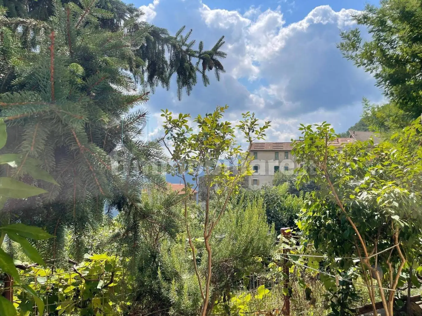 Appartamento in vendita a Borghetto d'Arroscia