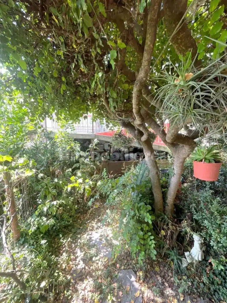 Quadrilocale via per Aquila, Leverone, Borghetto d'Arroscia - foto 5