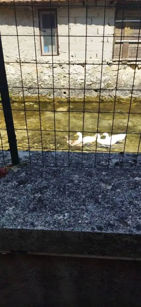 Villa unifamiliare via Rio Sparto, Canistro - foto 5