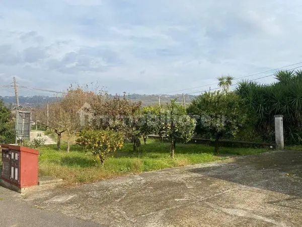 Rustico 185 m², Alvignano - foto 5