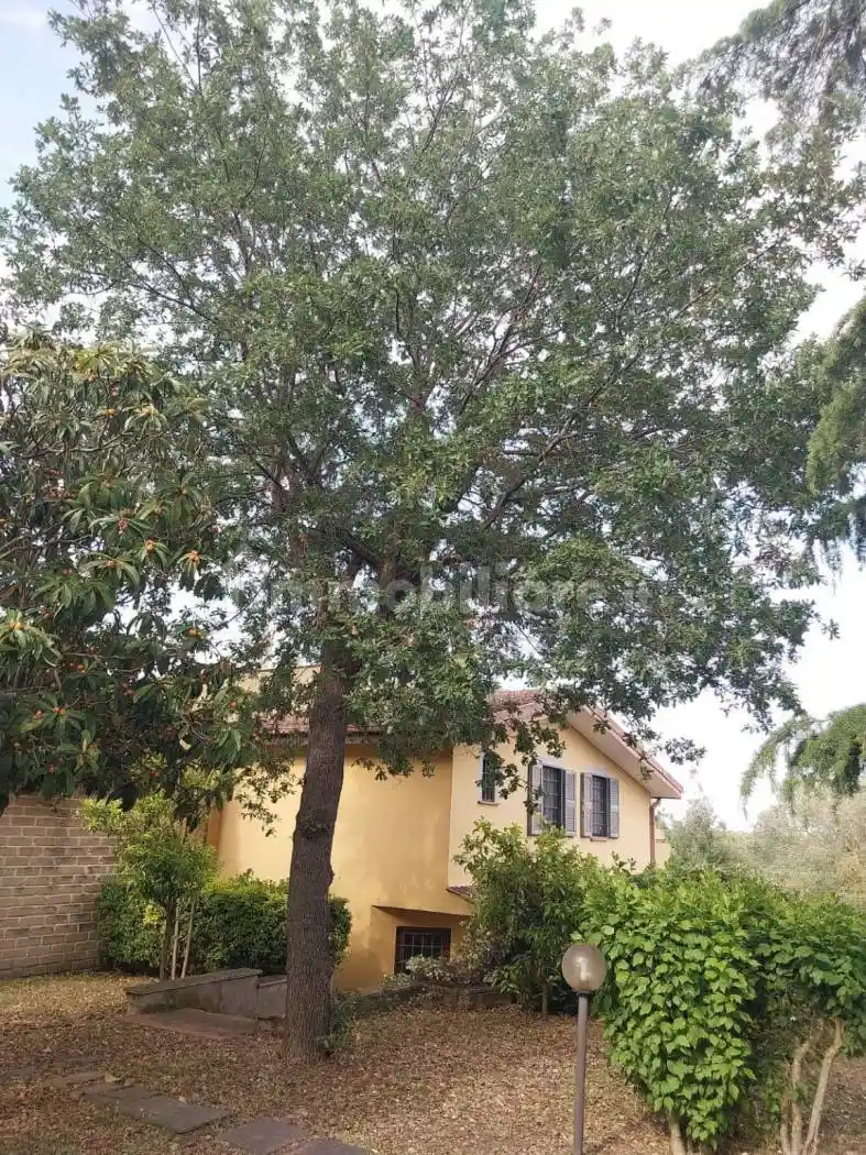 Villa in vendita a Roma
