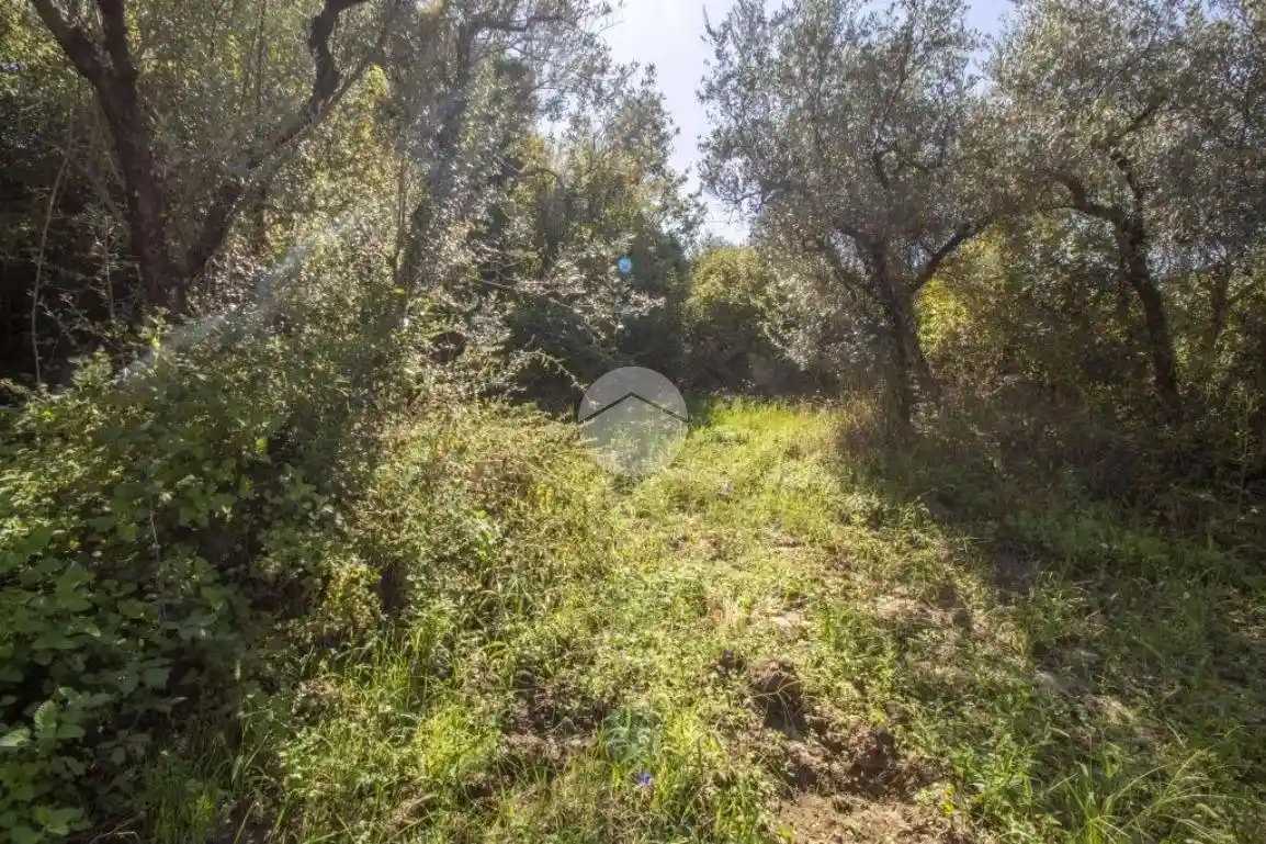 Rustico - Casale in vendita a Palombara Sabina