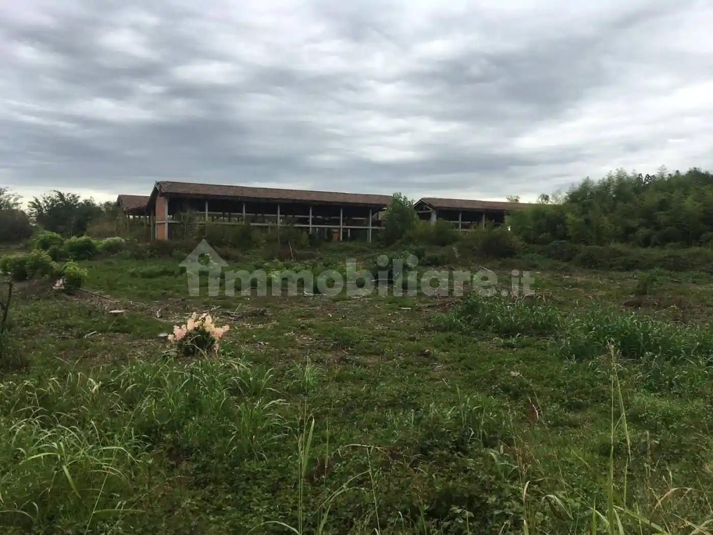 Casale via Giuseppe Ripamonti 549, Quintosole - Chiaravalle, Milano - foto 2