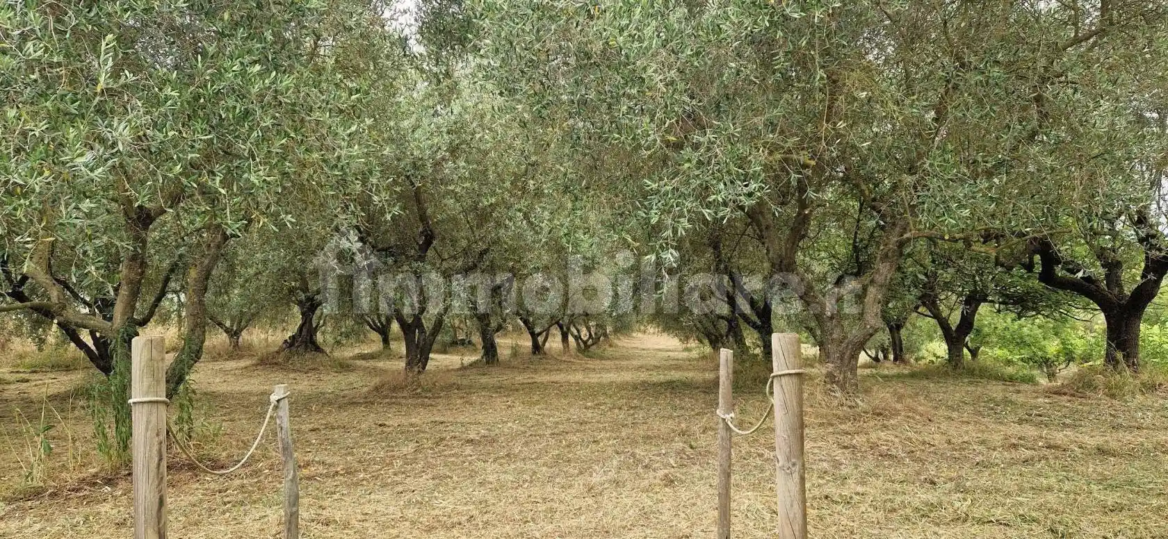Villa in vendita a Pitigliano